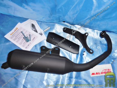 MALOSSI WILD LION Exhaust For PIAGGIO GILERA Scooter Typhoon Nrg