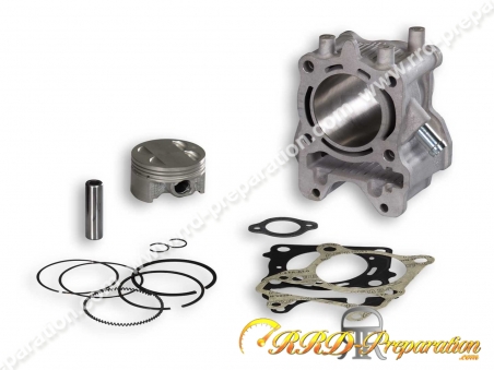 Kit Cc Malossi Mm Cylindre Piston Pour Honda Forza Ie T