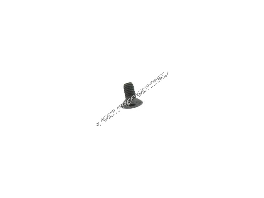 Tornillo Ø5mm X L.10mm CGN hexágono interior BTR para kick box MBK 51, MAGNUM, MR1, XR...