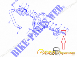 Pion de pompe à eau H20 TOP PERFORMANCES pour SCOOTER 50 APRILIA ZONE 51, MBK NITRO, YAMAHA MACH G LIQUIDE ...