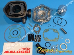 Kit 70 Ø47mm MALOSSI fonte sur scooter SUZUKI Liquide (Katana R, ZILLION ...)