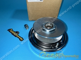 Variator + clutch original...